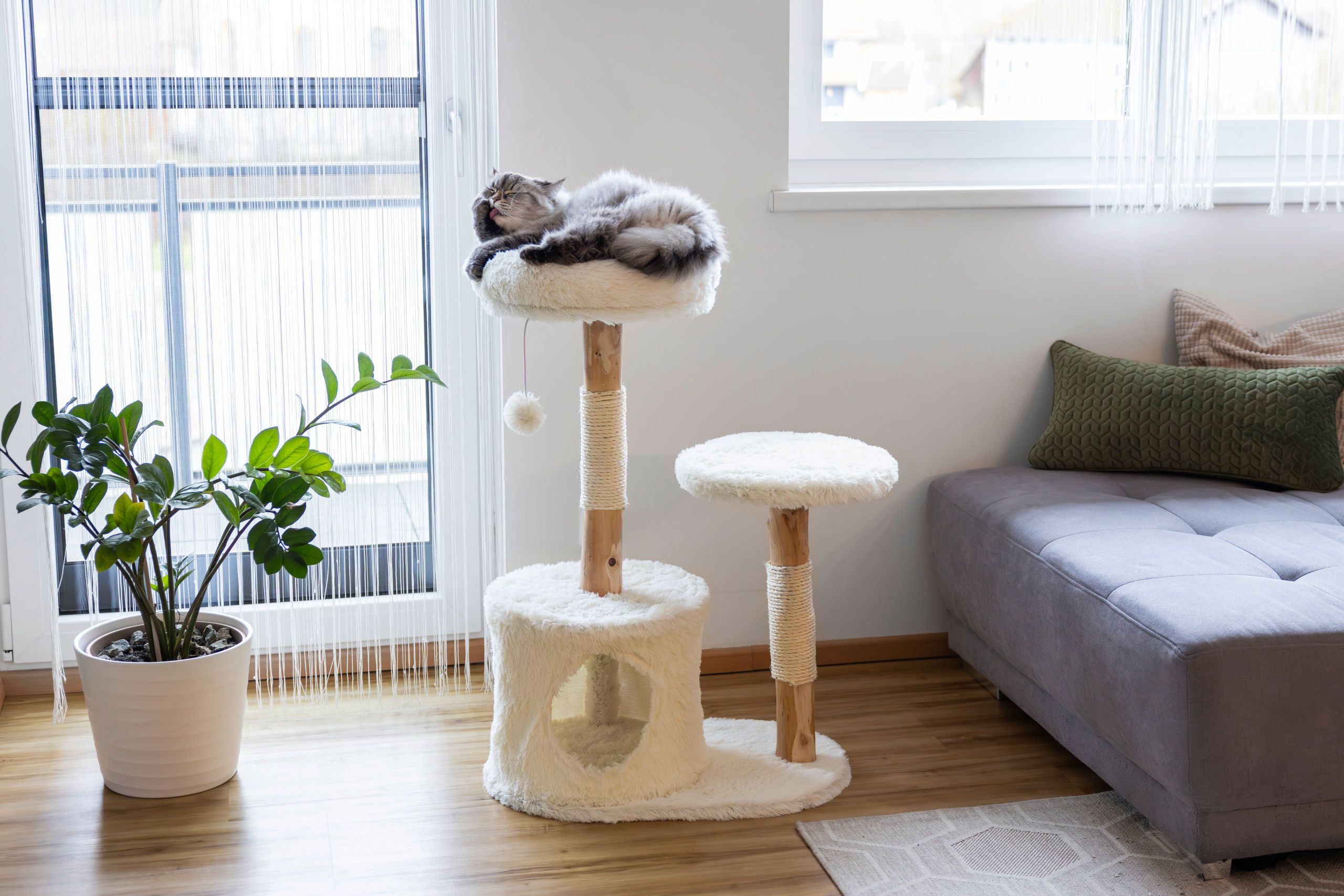 cat tree, cat scratching post, pet furniture, folding cat house, plush, household