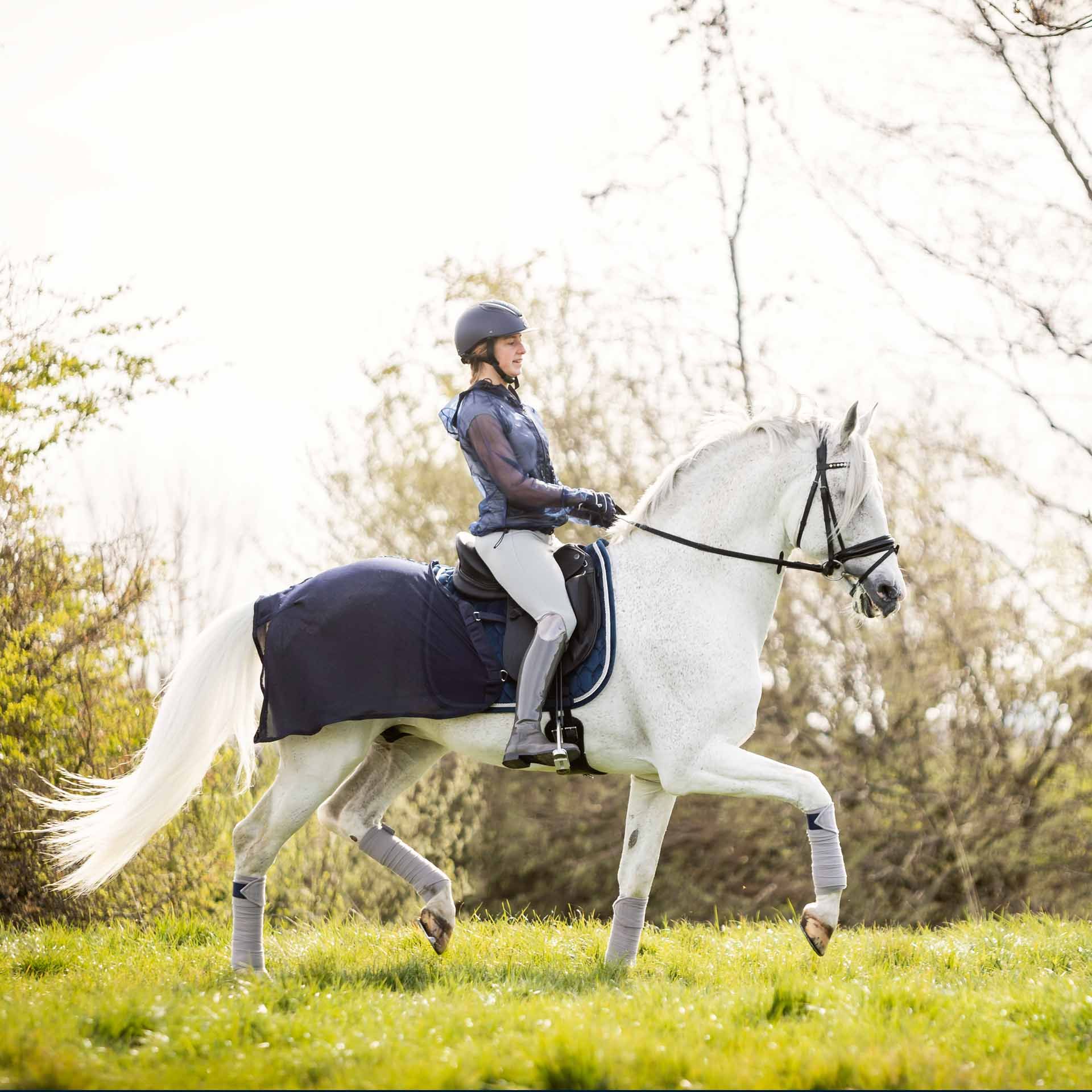 Couvre-reins BUSSE FLY, protection anti-insectes pour l'entraînement, bleu marine, 125 cm