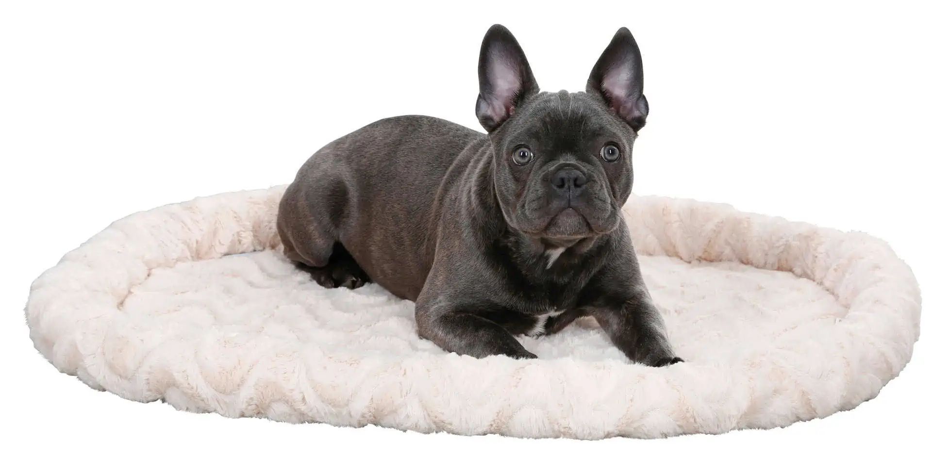Kerbl Cuscino Cosy per Cani e Gatti, Reversibile, 54x45 cm, in uso