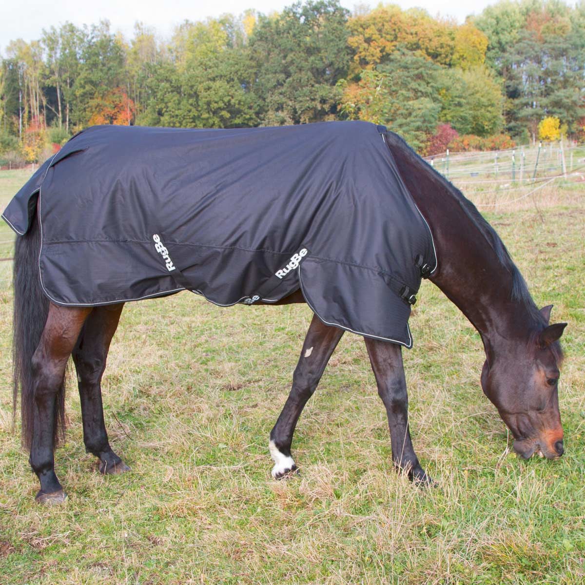 Covalliero RugBe Winter rug 600D, 200g, side view, in the paddock