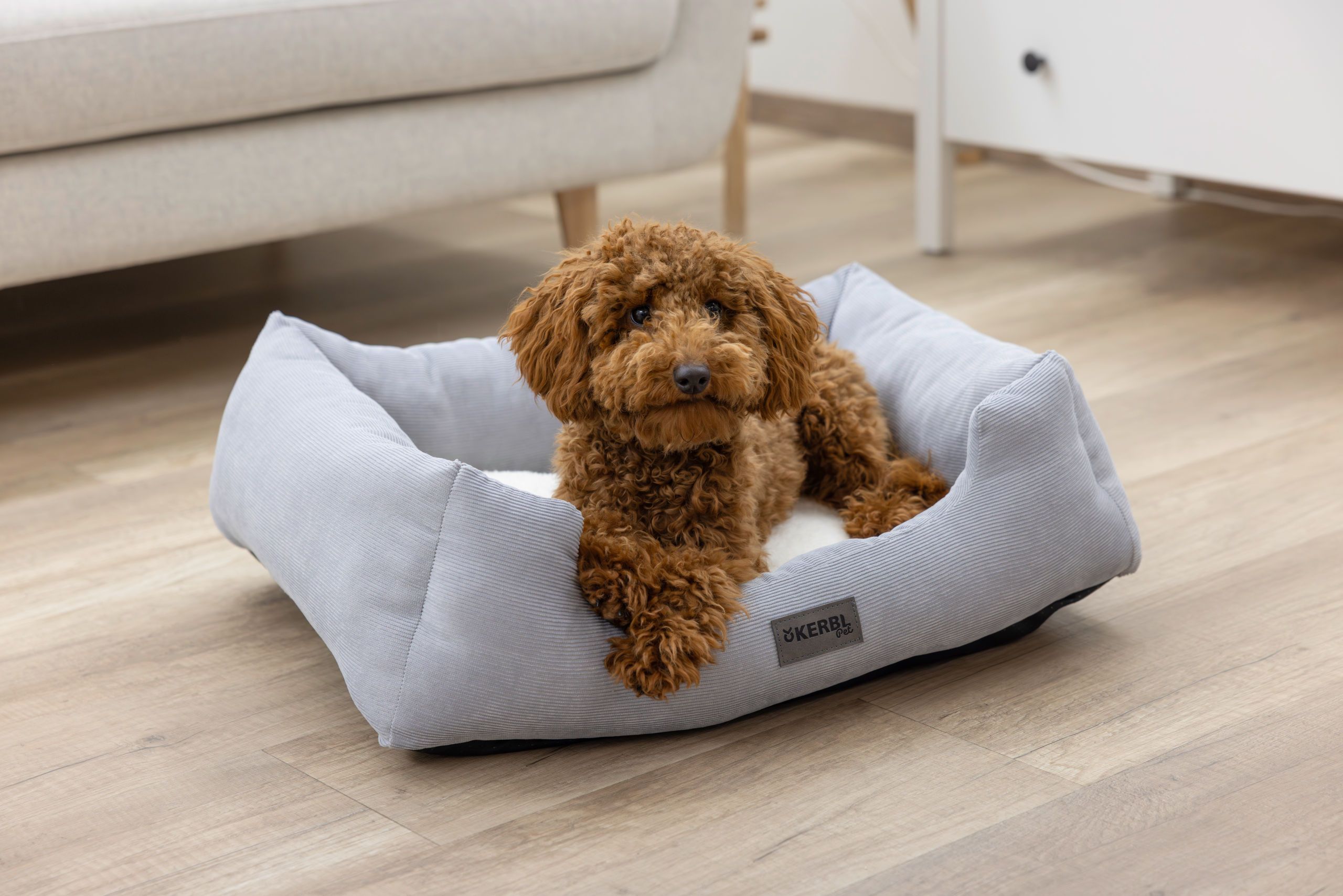 Kerbl Kuschelbett Zoe, Hundebett mit Rand, waschbar, grau-weiß, im Einsatz