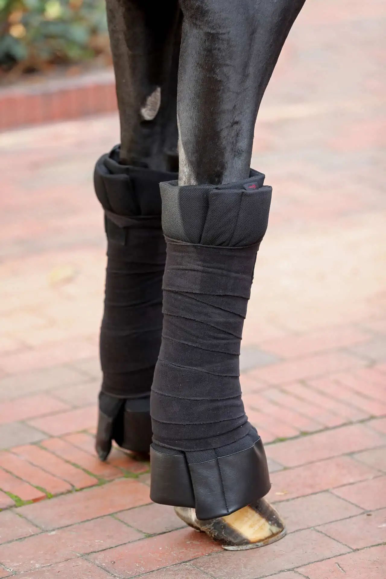 Coussinets de bandage Covalliero pour chevaux, paire rembourrée, vue arrière