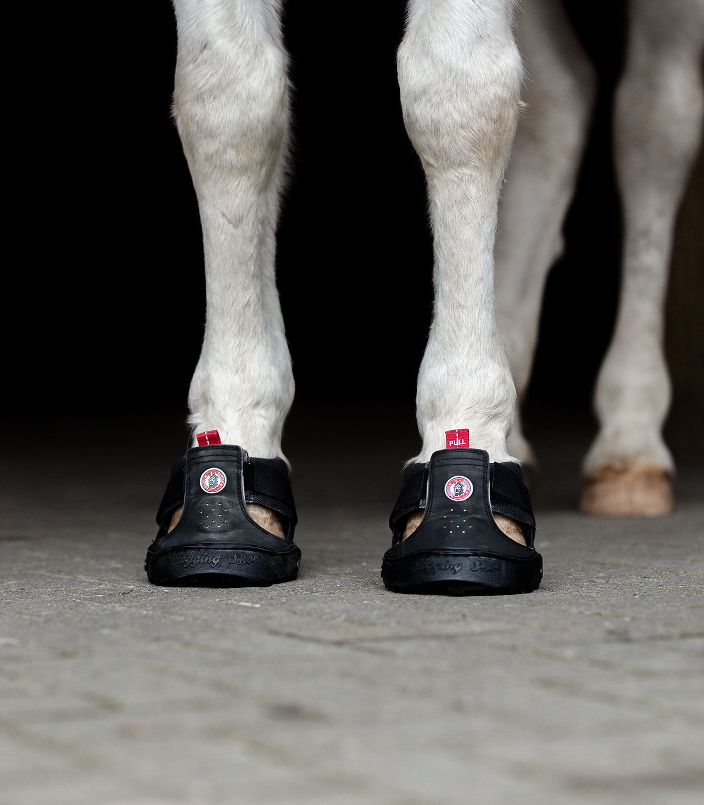 Equine Fusion Cizmă de copită Trekking, talpă cu aderență și amortizare, vedere din spate, talpă