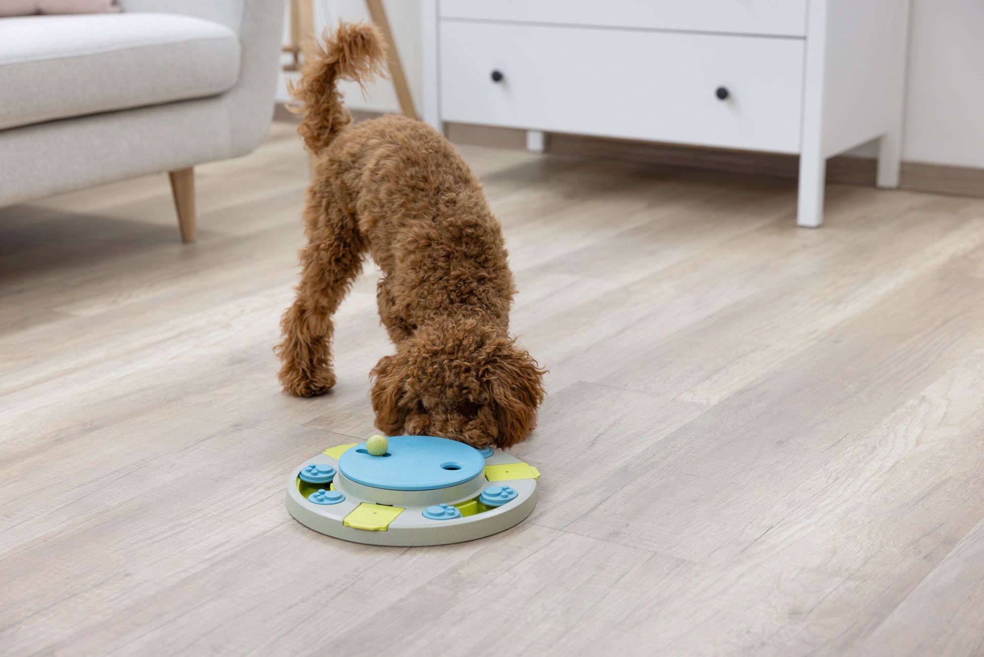 Kerbl Pet Aktivitetsleksak Turnley vridtallrik, Ø 27 cm, i användning