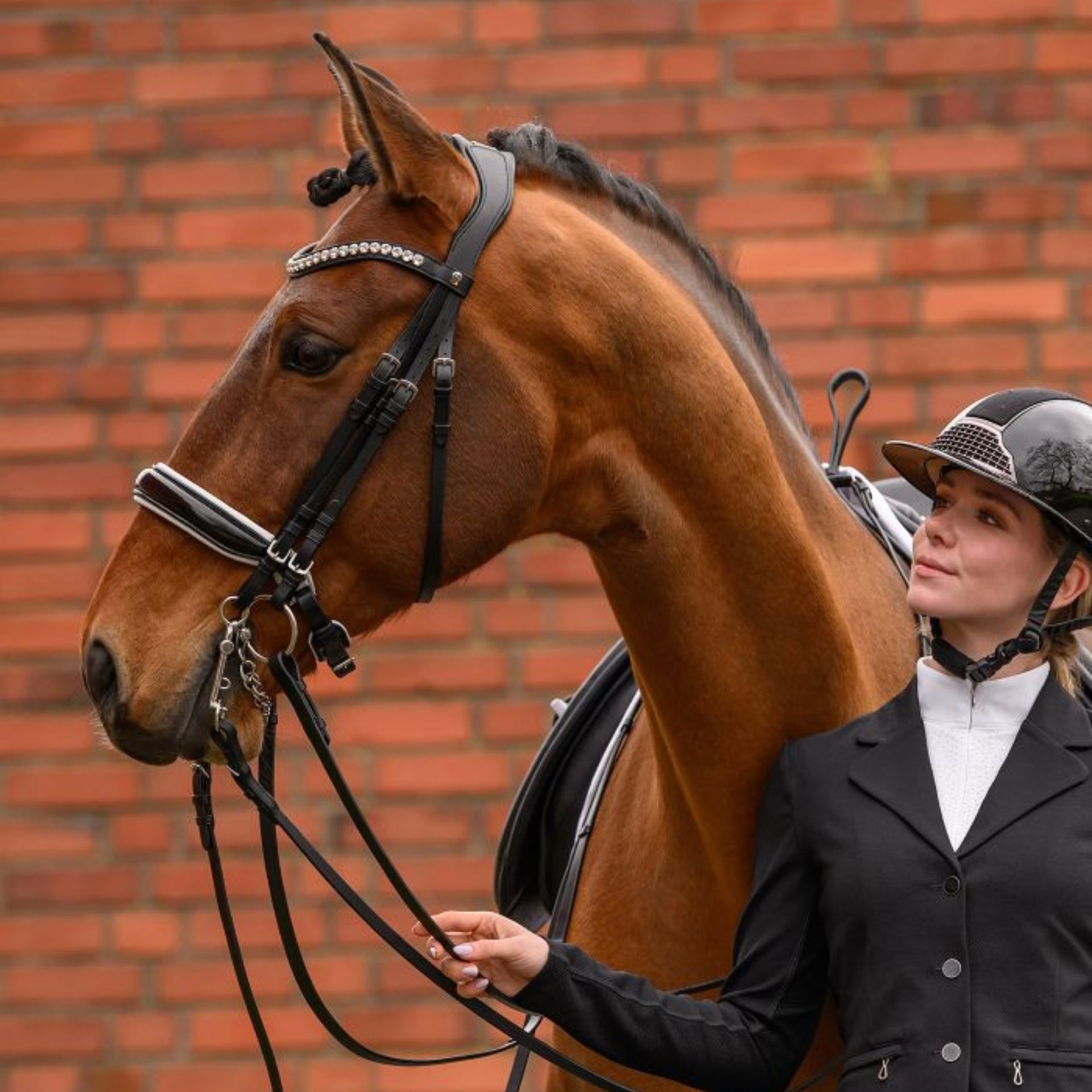 horse, equestrian, bridle, riding, stables