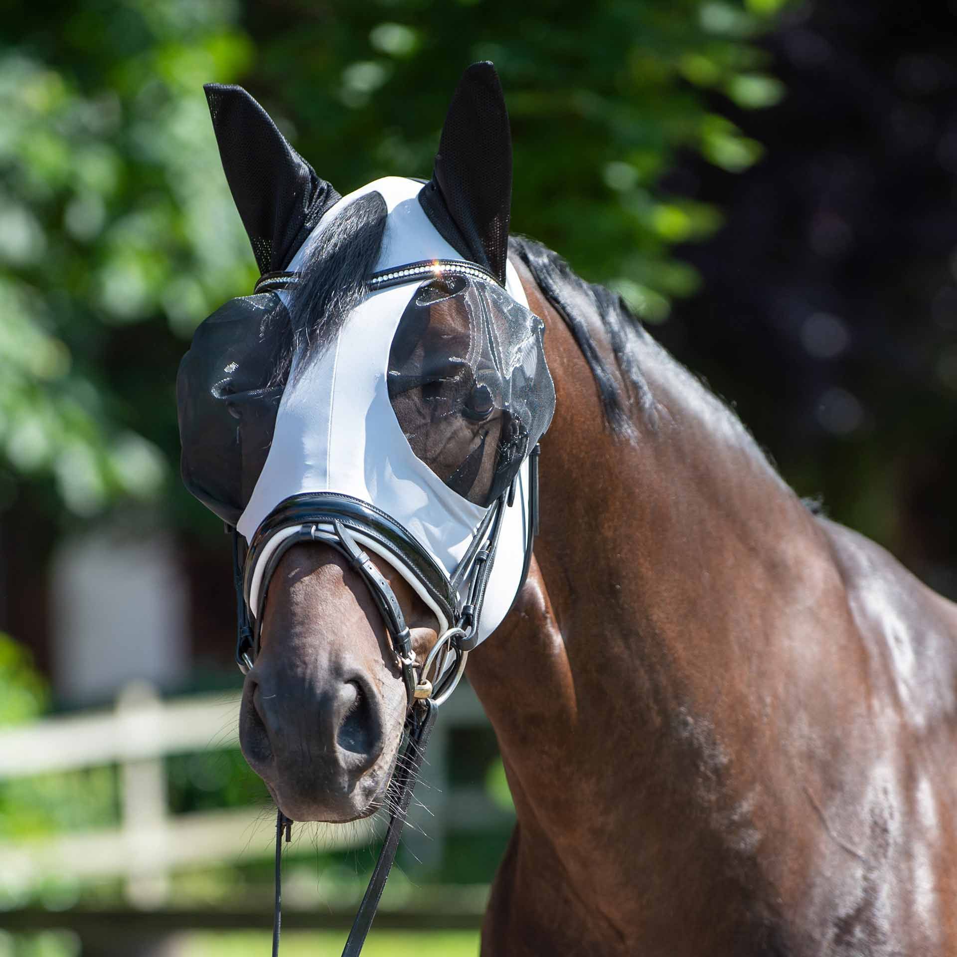 BUSSE Fly Mask TWIN FIT FLEXI, Eye & Ear Protection, in use