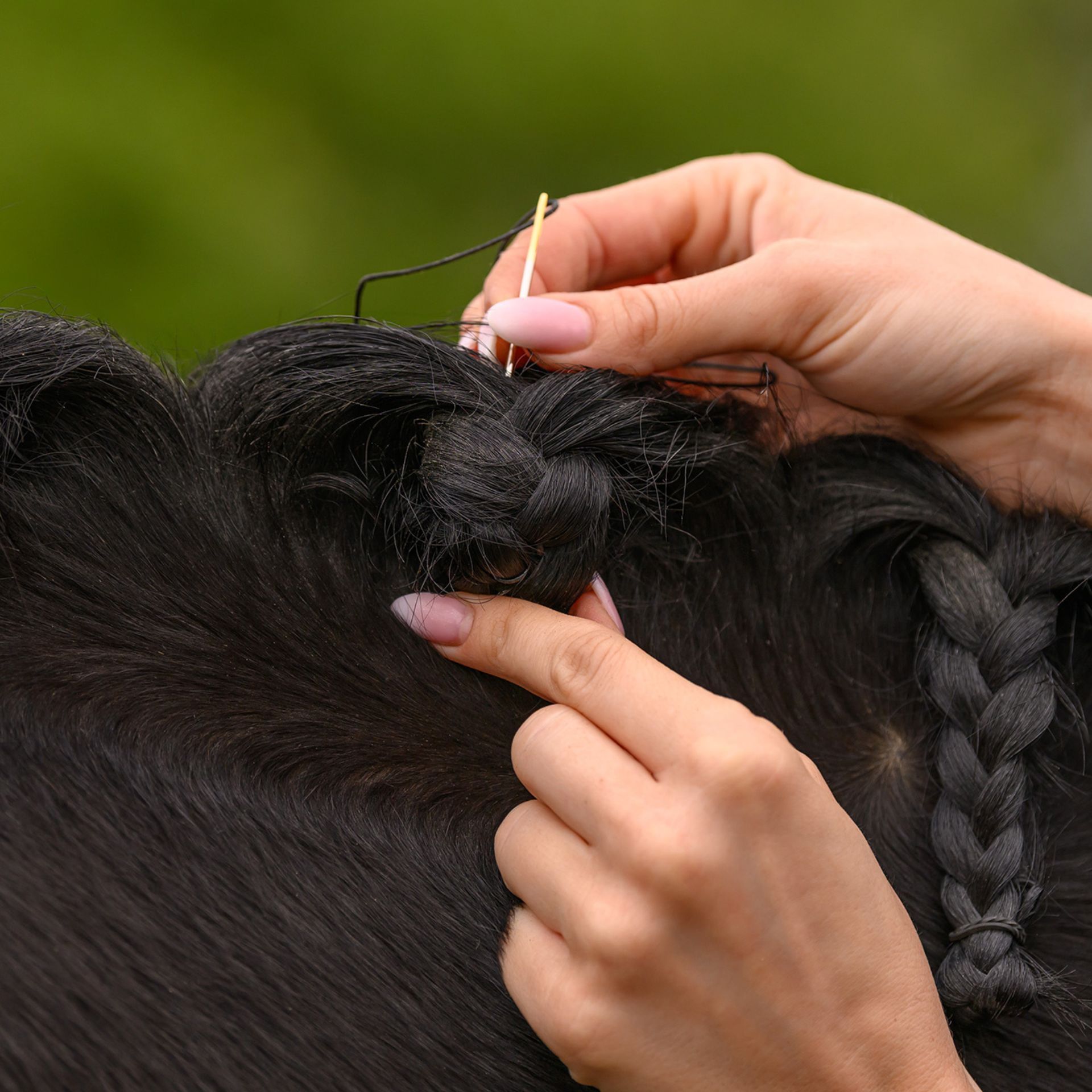 braid, hair, plait, hairpin, updo