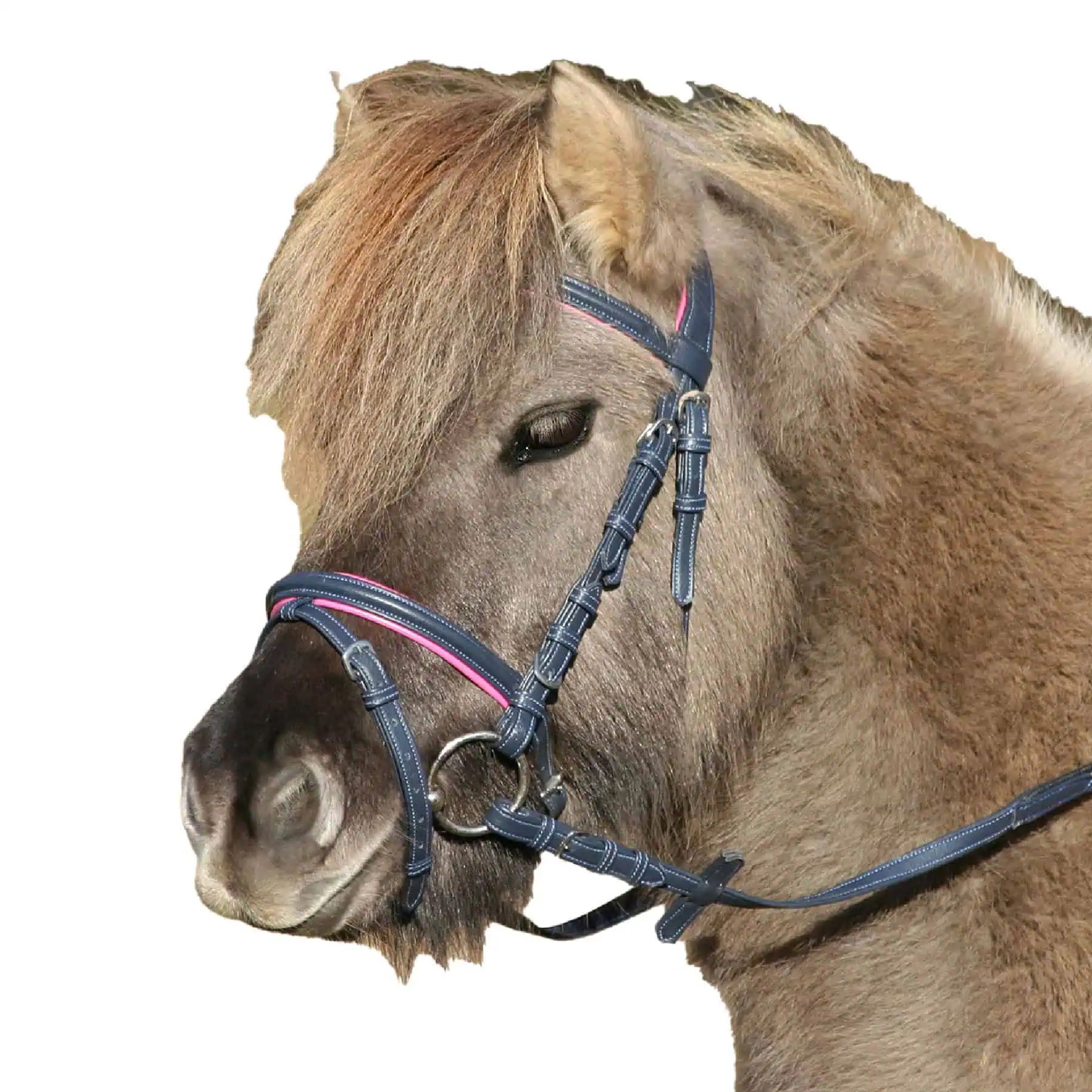 Unicorn Bridle 2 midnight blue/azalea Pony