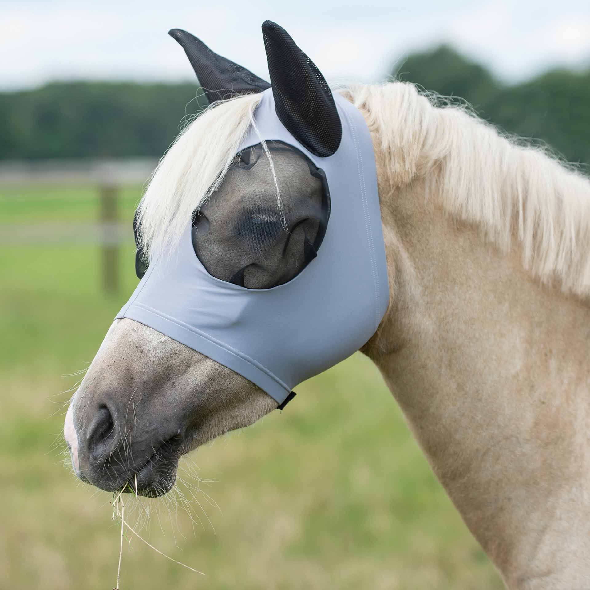 BUSSE Fly Mask TWIN FIT FLEXI, Eye & Ear Protection, in use
