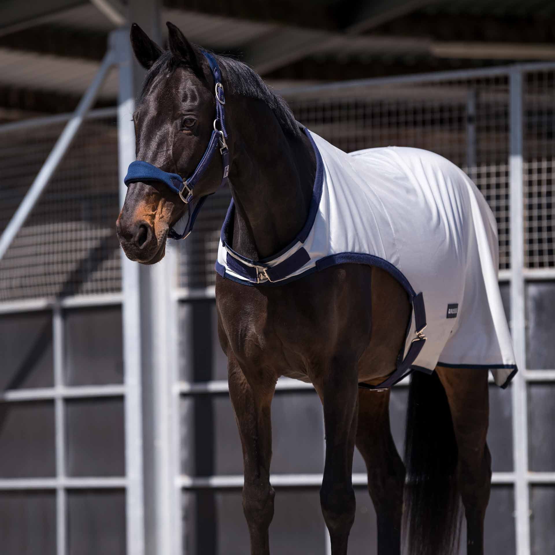 BUSSE Coperta da tondino FLY COMFORT, protezione anti-insetti, in uso, in scuderia
