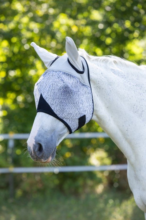 Masque anti-mouches Covalliero avec oreilles & protection UV, cheval, en utilisation