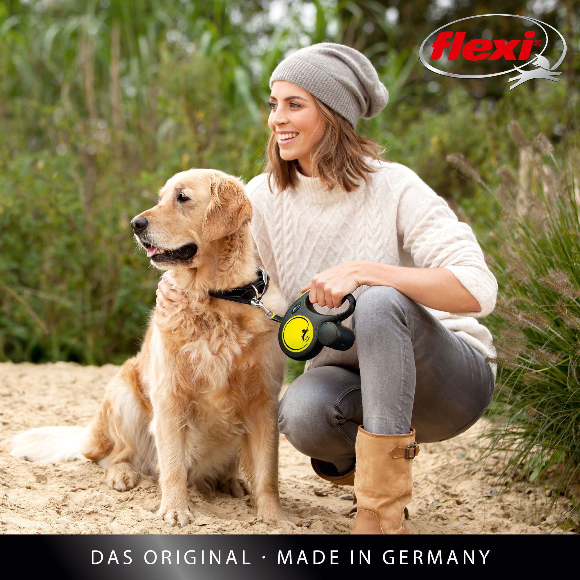 dog, dog leash, pet accessory, collar, yellow leash