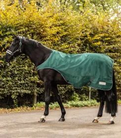 Schwarzes Pferd mit dunkelgrüner Regendecke steht auf einem Weg vor herbstlichen Bäumen