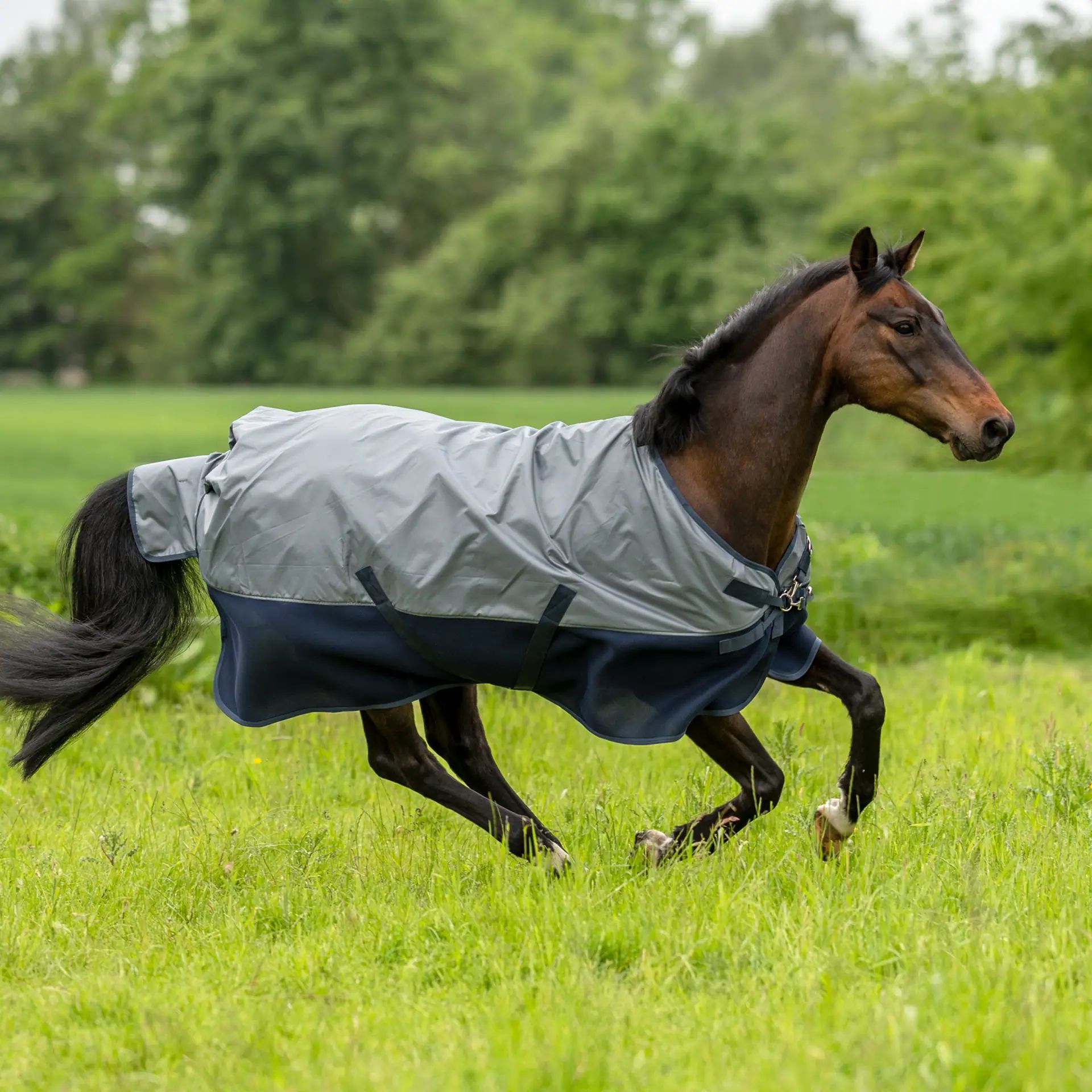 BUSSE Outdoordecke 3D AIR RAIN, Übergangsdecke wasserdicht atmungsaktiv, im Einsatz, auf der Weide