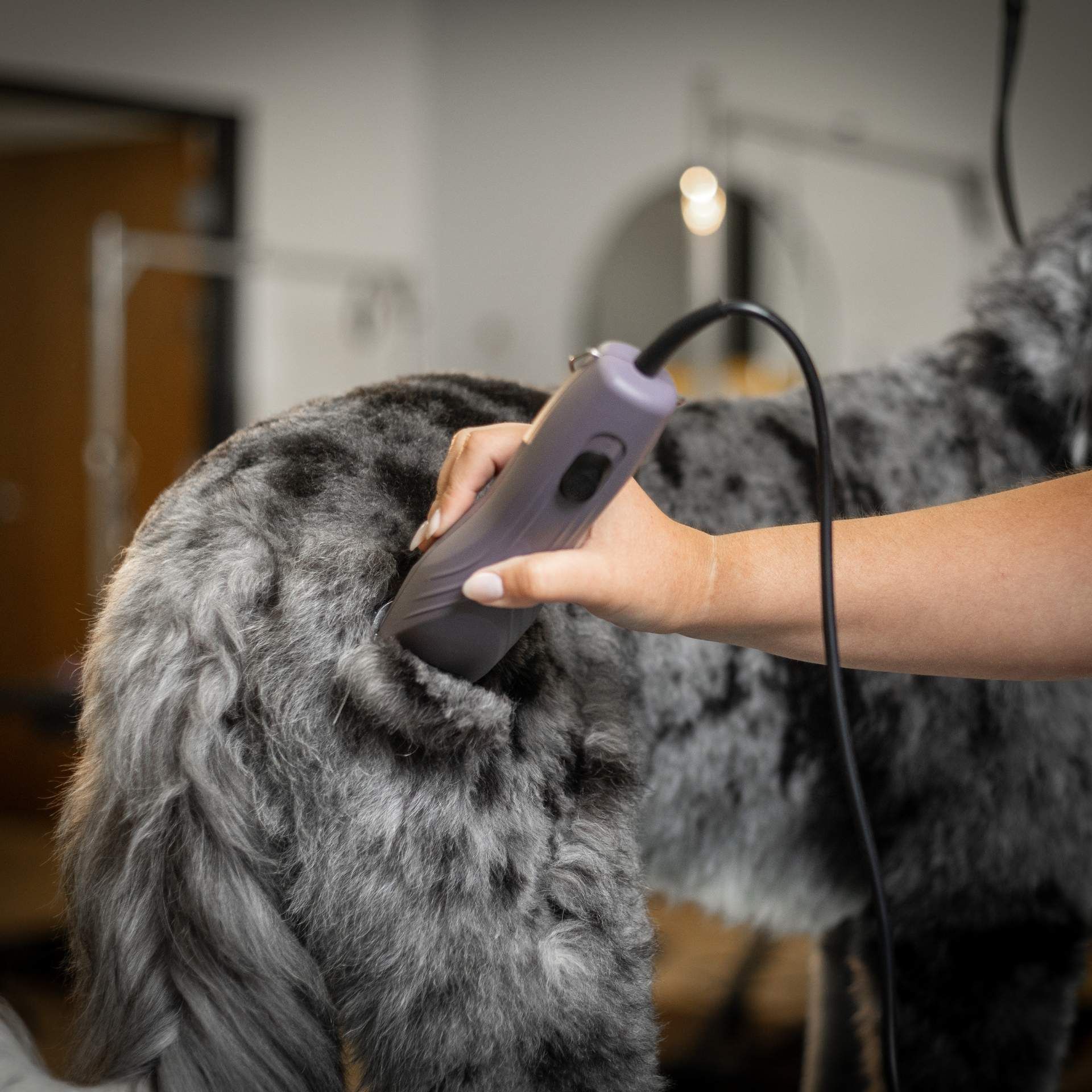 pet grooming, dog grooming, fur coat, electric clippers, shedding control
