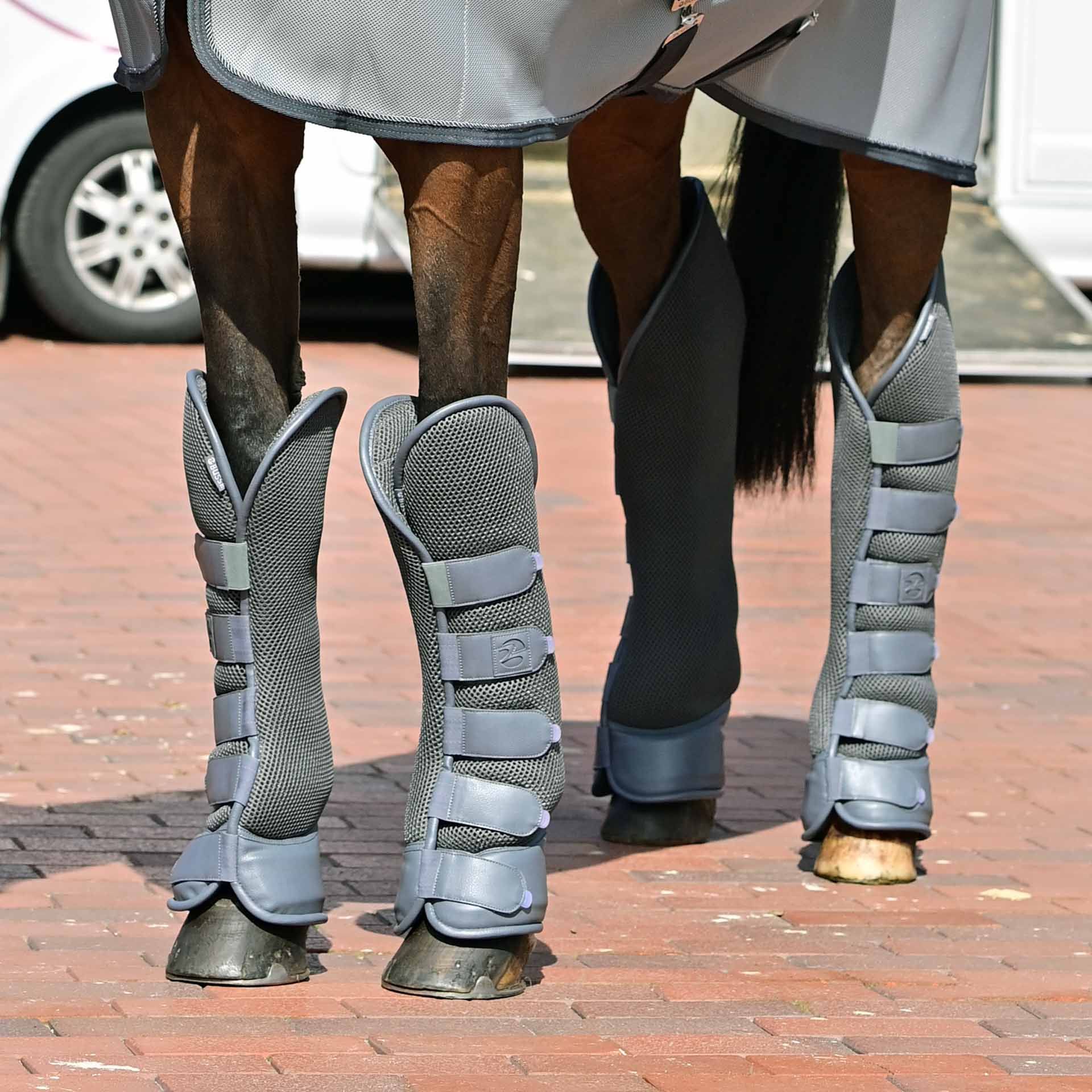 Guêtres de Transport BUSSE 3D AIR EFFECT pour Chevaux, en utilisation, à l'écurie