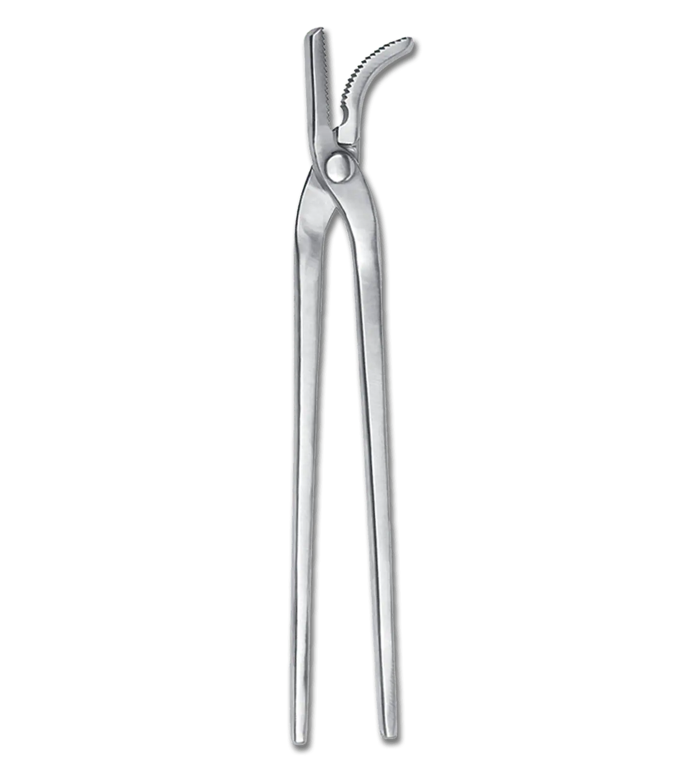 Waldhausen Pinza per ribadire zoccoli, acciaio inox, 33 cm