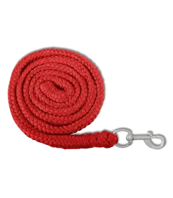 Aufgerollter geflochtener Führstrick in Rot mit silbernem Karabiner