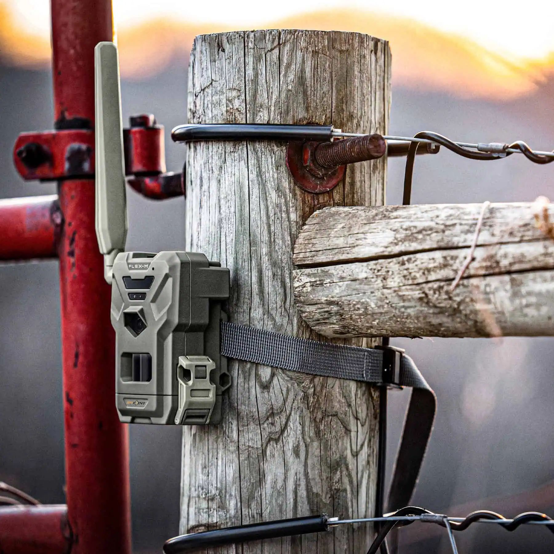 Spypoint Wildkamera FLEX-M, 4 Stück, Mobilfunk-Set für die Jagd, im Einsatz