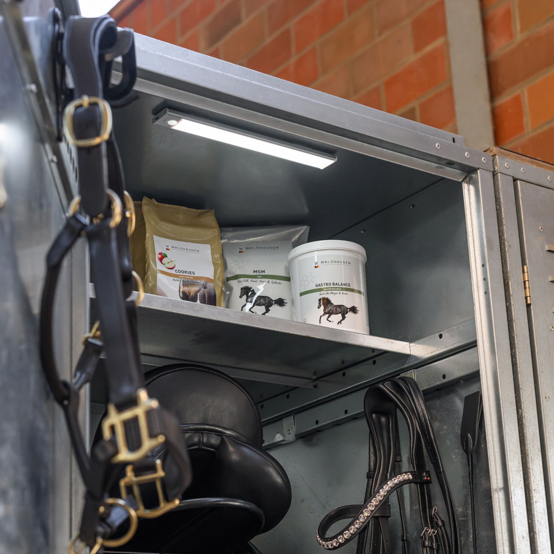 horse, harness, equipment, bucket, packaging