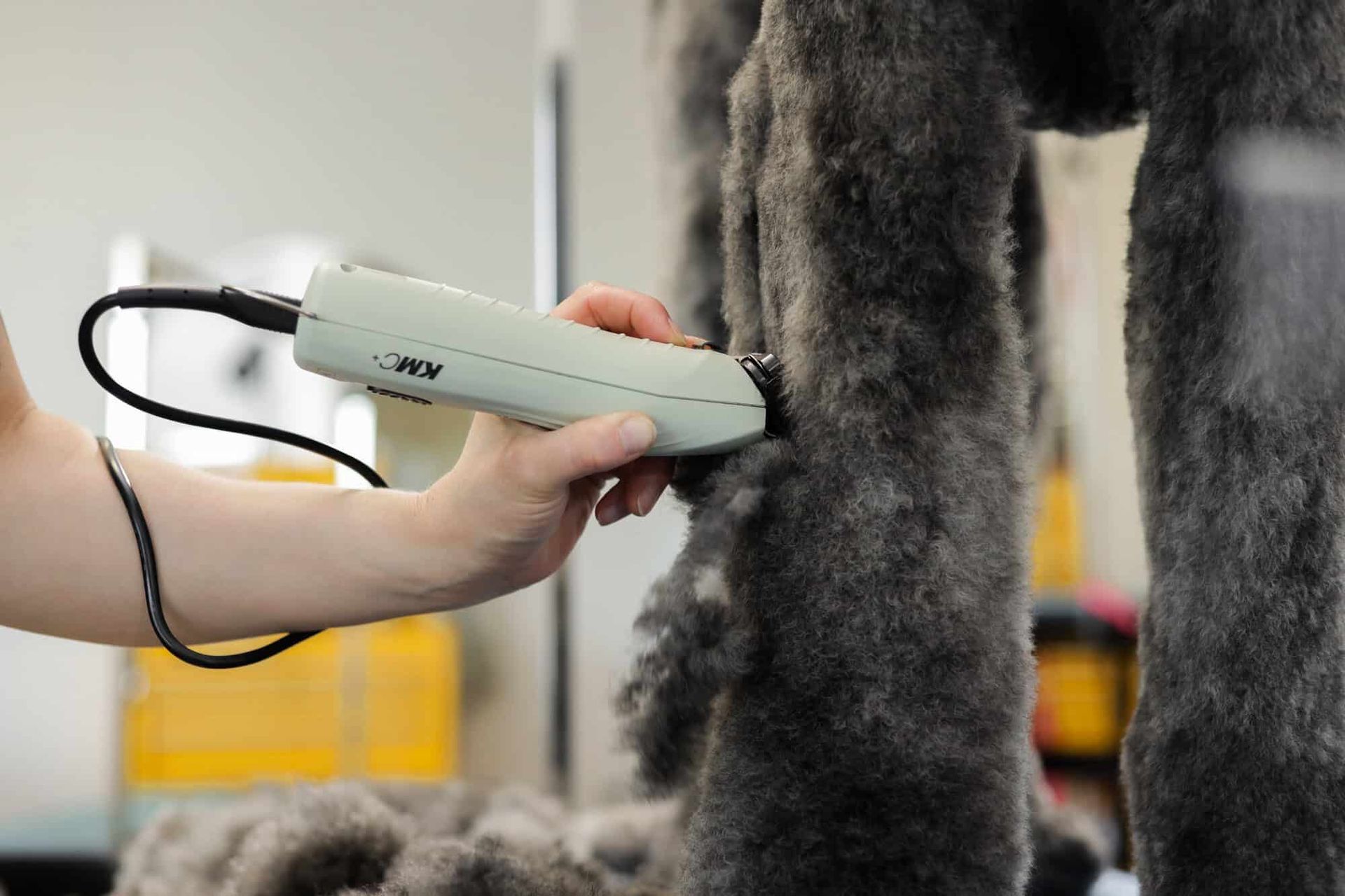 Tondeuse pour Chien Sans Fil Wahl KMC+, Moteur Brushless, en utilisation, dans la main