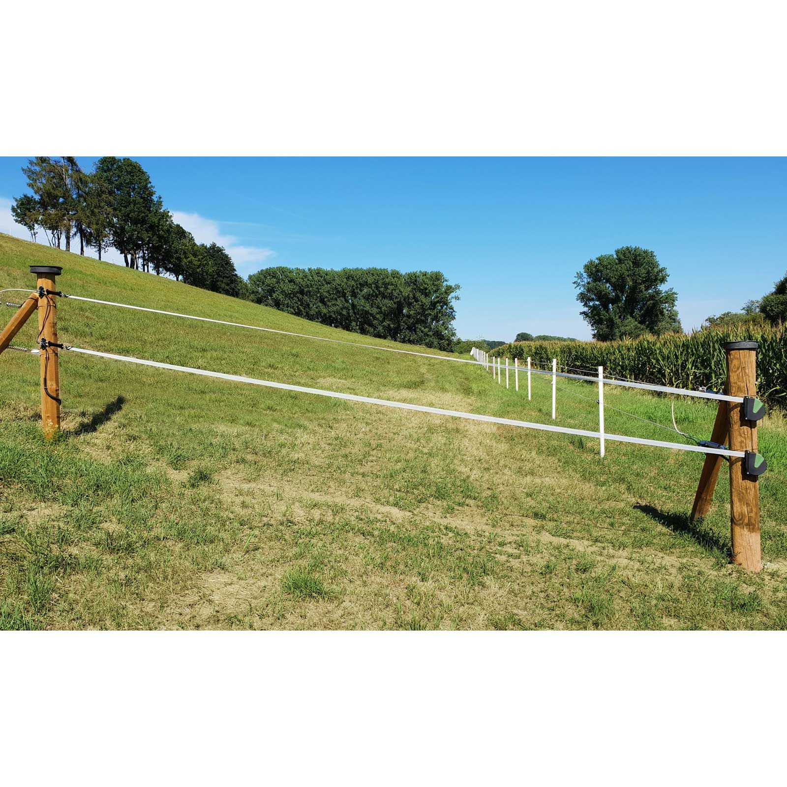 Kerbl flexi band för grindar 7,5 m x 40 mm, i användning, på hagen