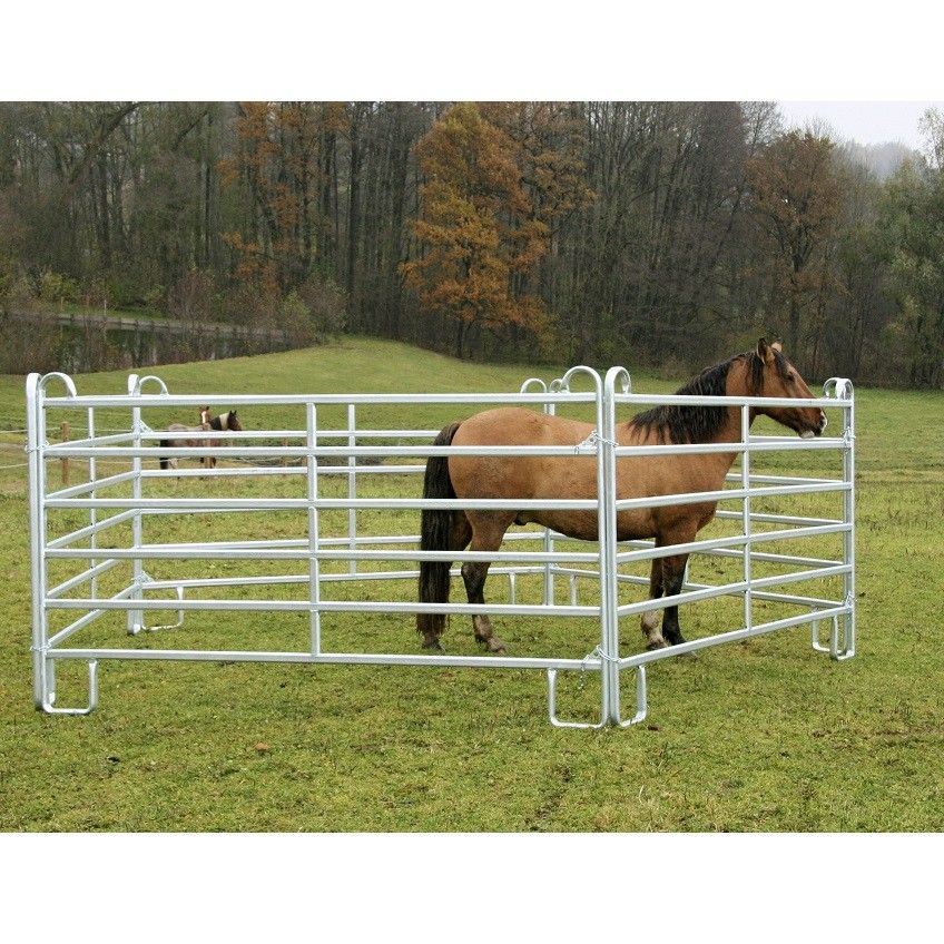 Kerbl Weidepanel verzinkt, Weidepanels für Rinder & Pferde, im Einsatz, auf der Weide