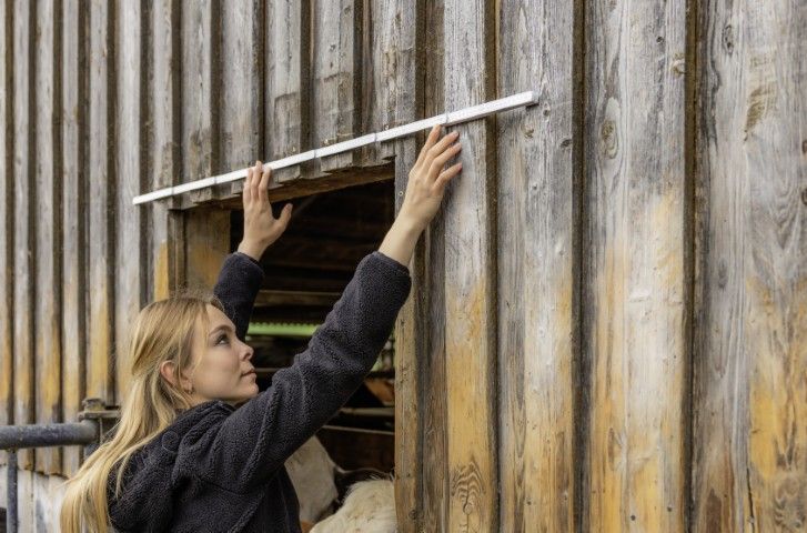 Frau, Arbeiten, Scheune, Holzwand, Fensteröffnung, Messlatte