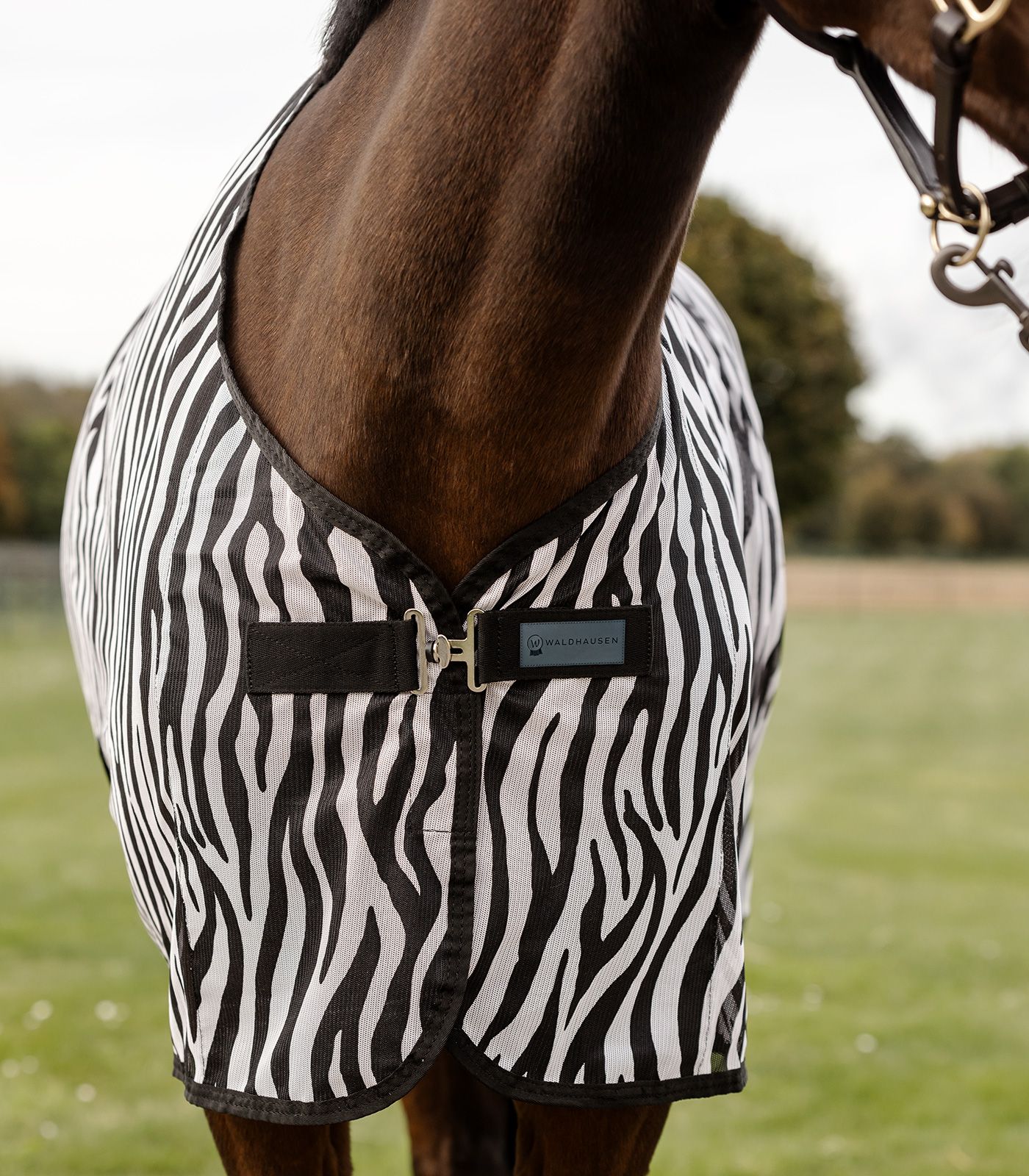 Waldhausen Zebra legyező takaró kereszthevederekkel, részlet, zár
