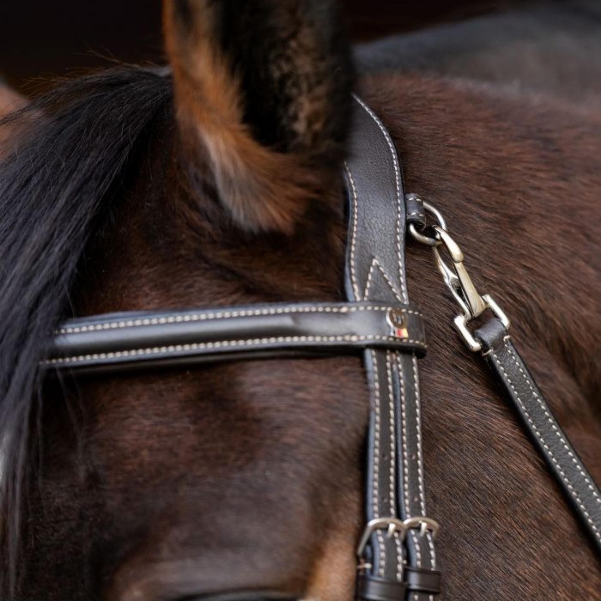 Waldhausen X-Line Trensenzaum Work, Pony, anatomisches Genickstück, Detailansicht