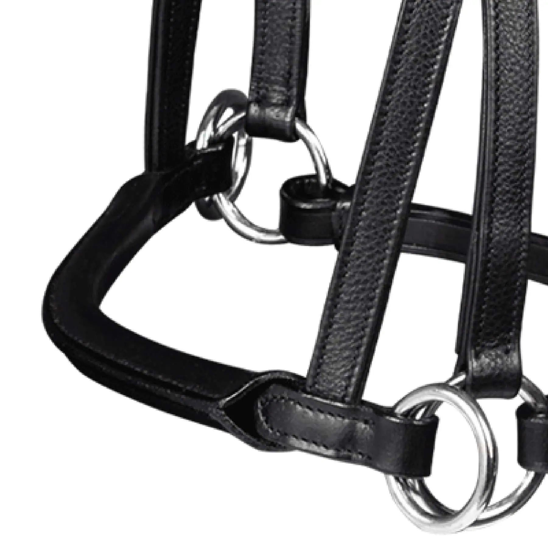 Waldhausen X-Line Bridon sans mors Supersoft Nuova, Cuir, détail