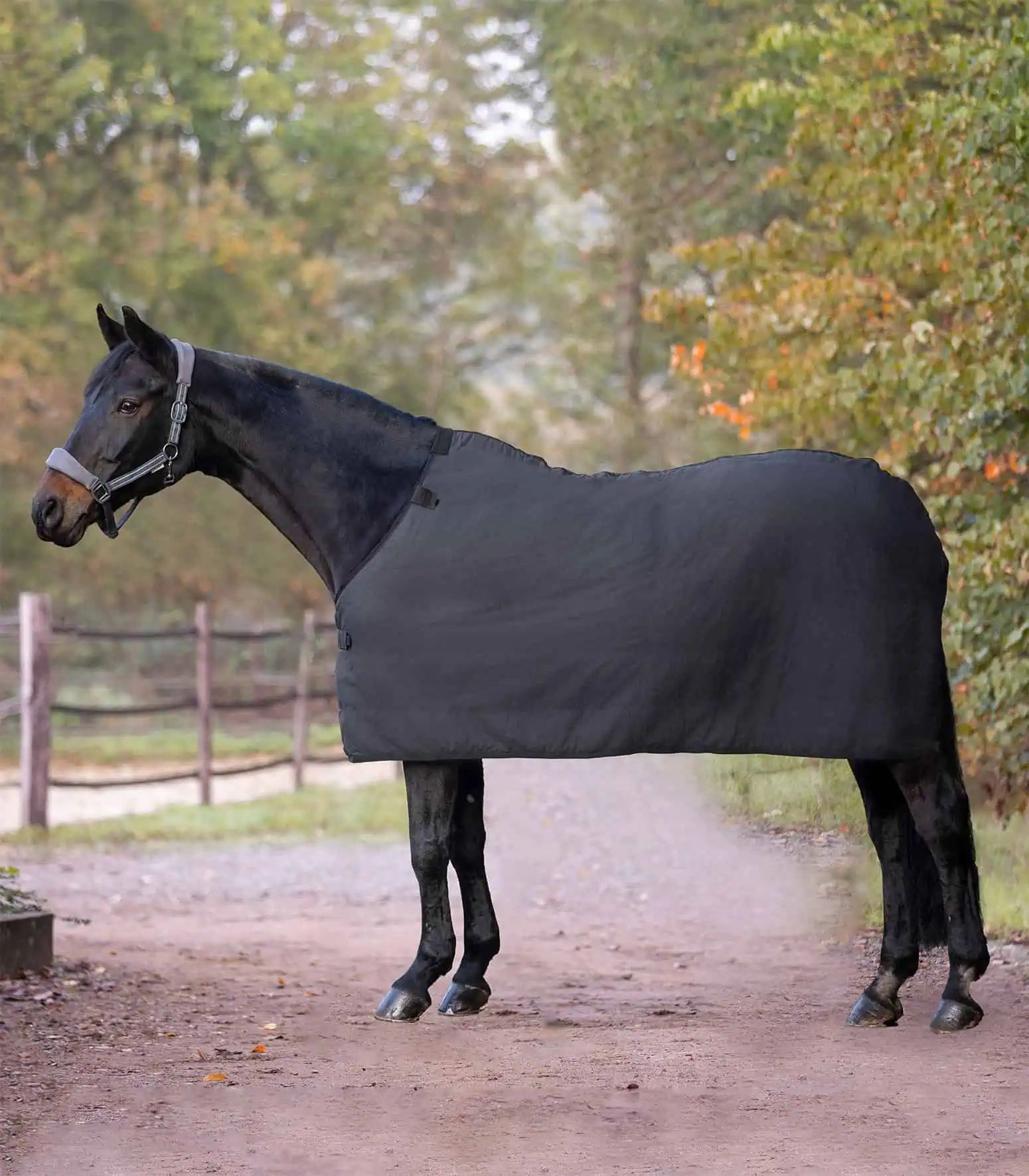 Waldhausen Fleece Unterdecke für Pferde, schwarz, atmungsaktiv, 165 cm