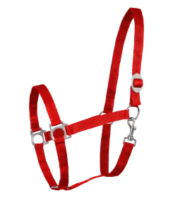 Rotes Halfter aus Nylon mit verstellbaren Schnallen und Karabinerhaken
