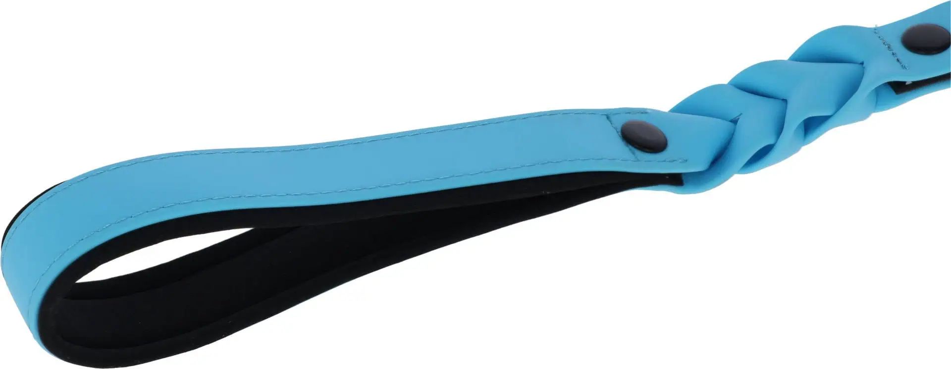 Laisse pour chien Lima Kerbl, 25 mm x 100 cm, bleu/noir