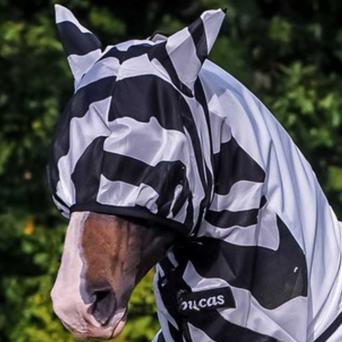 Couverture anti mouches cheval Bucas Buzz-Off Zebra Full-Neck 140