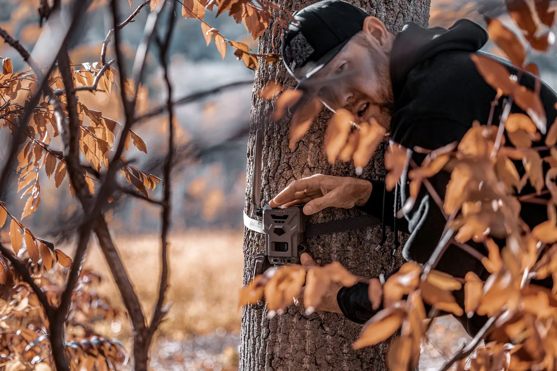 Mann befestigt Wildkamera am Baumstamm, herbstlicher Wald mit Laub im Vordergrund