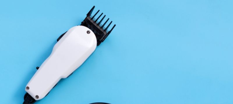 Pisica Clipper
