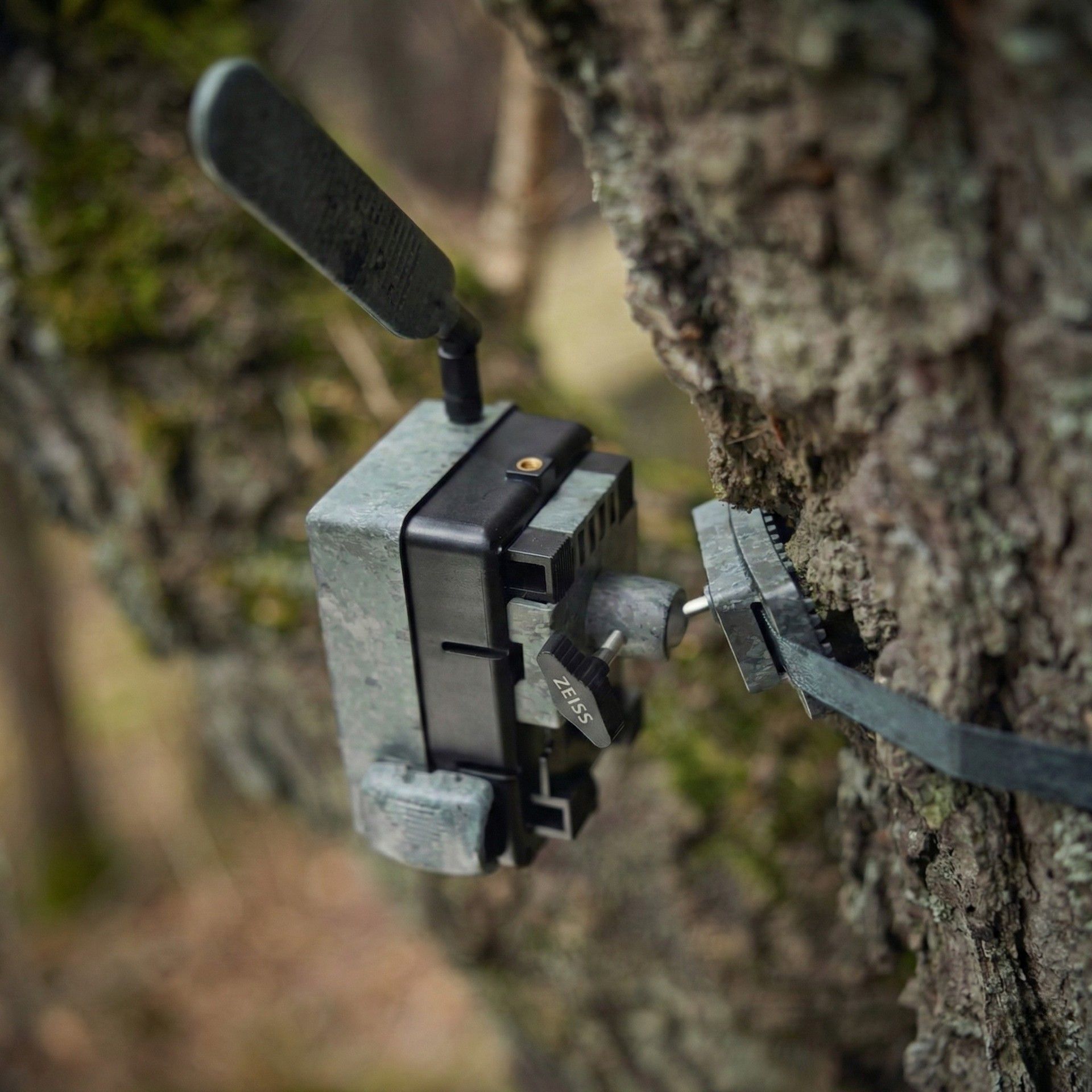 ZEISS Secacam 3 Viltkamera med LTE, app-styrning och IR-blixt, i användning