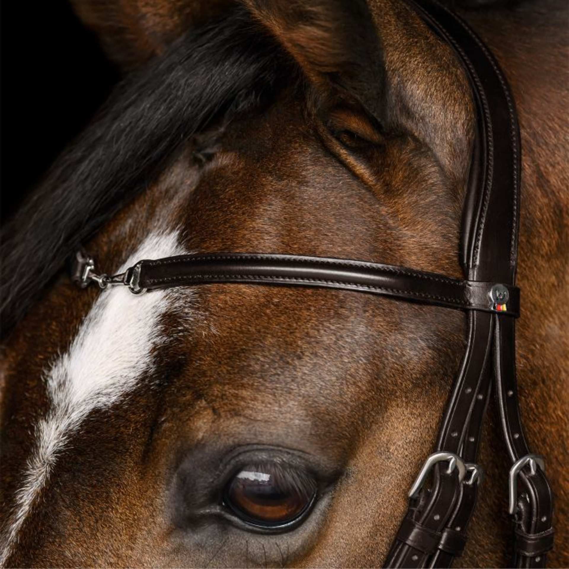 horse, bridle, headstall, eyewear, stitching, horse, bridle, headstall, eye, brown, horse, bridle, leather, bit, eye