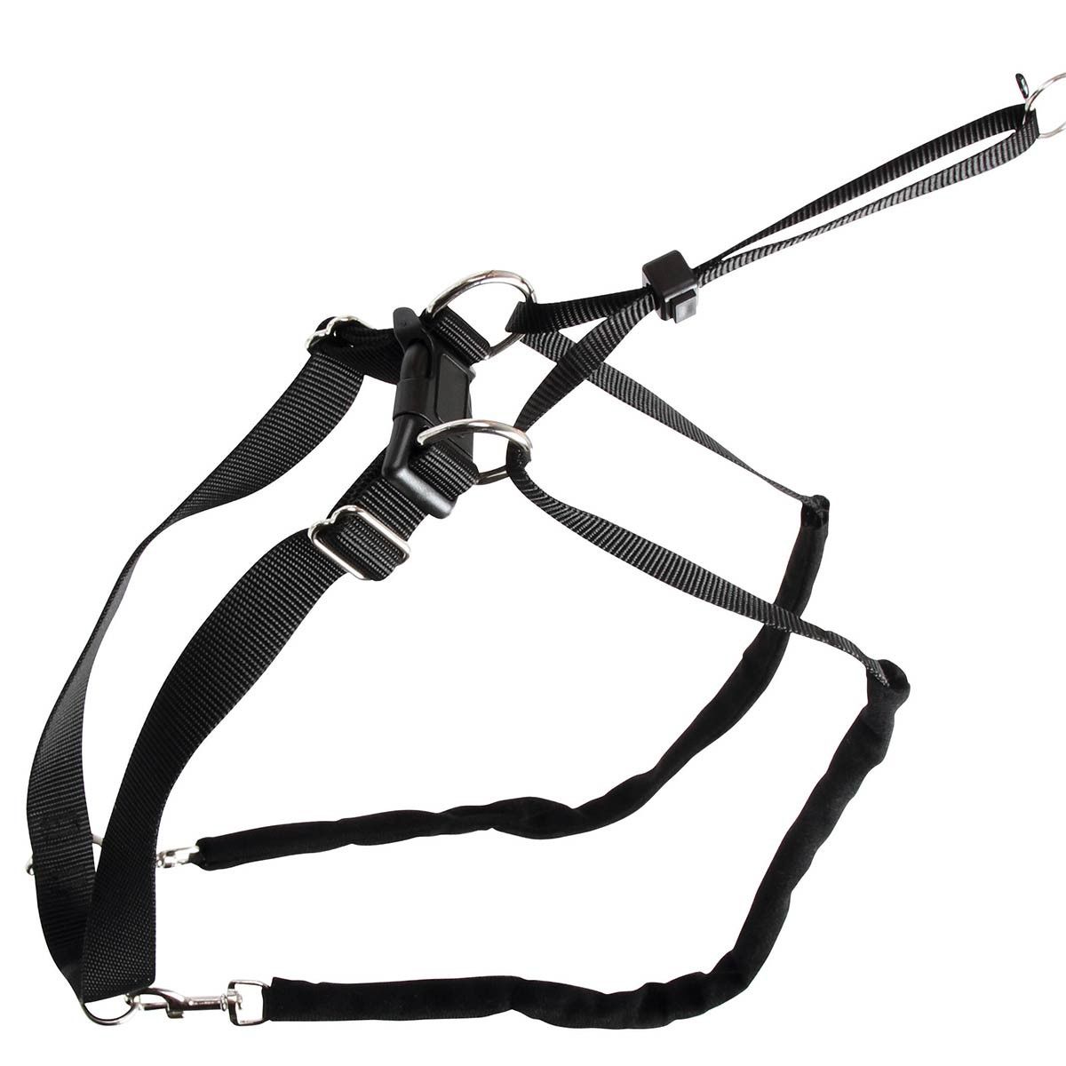 Kerbl Erziehungsgeschirr MAXI LEADER, Halsumfang 25-30 cm