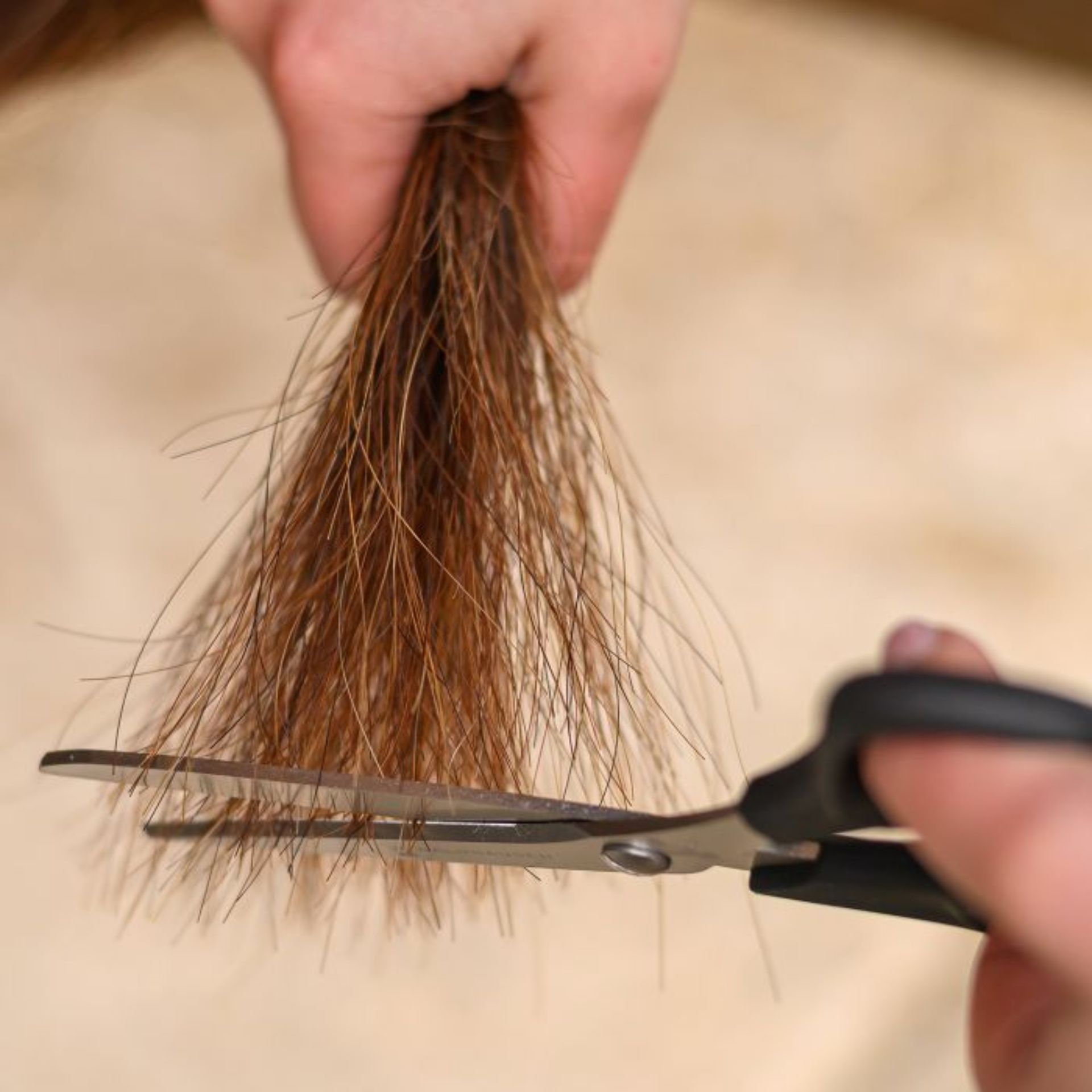 scissors, hair, haircut, blunt, trim