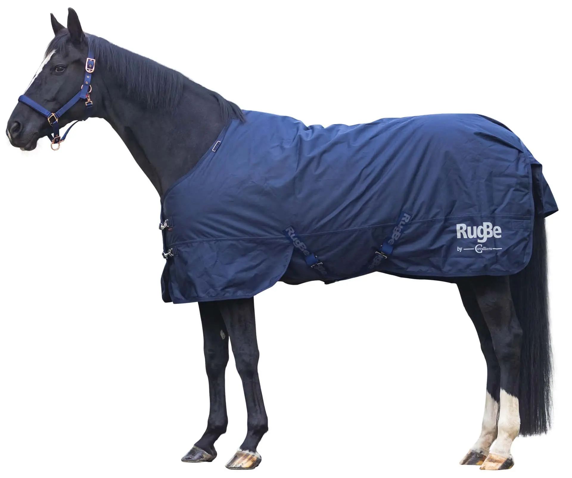 Covalliero Pătură de iarnă RugBe IceProtect 200g, dark navy, în utilizare