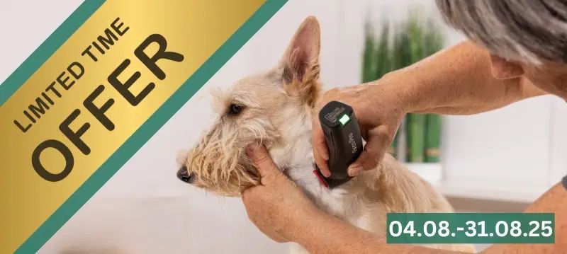 Tosatrici Wahl - Promozioni della settimana