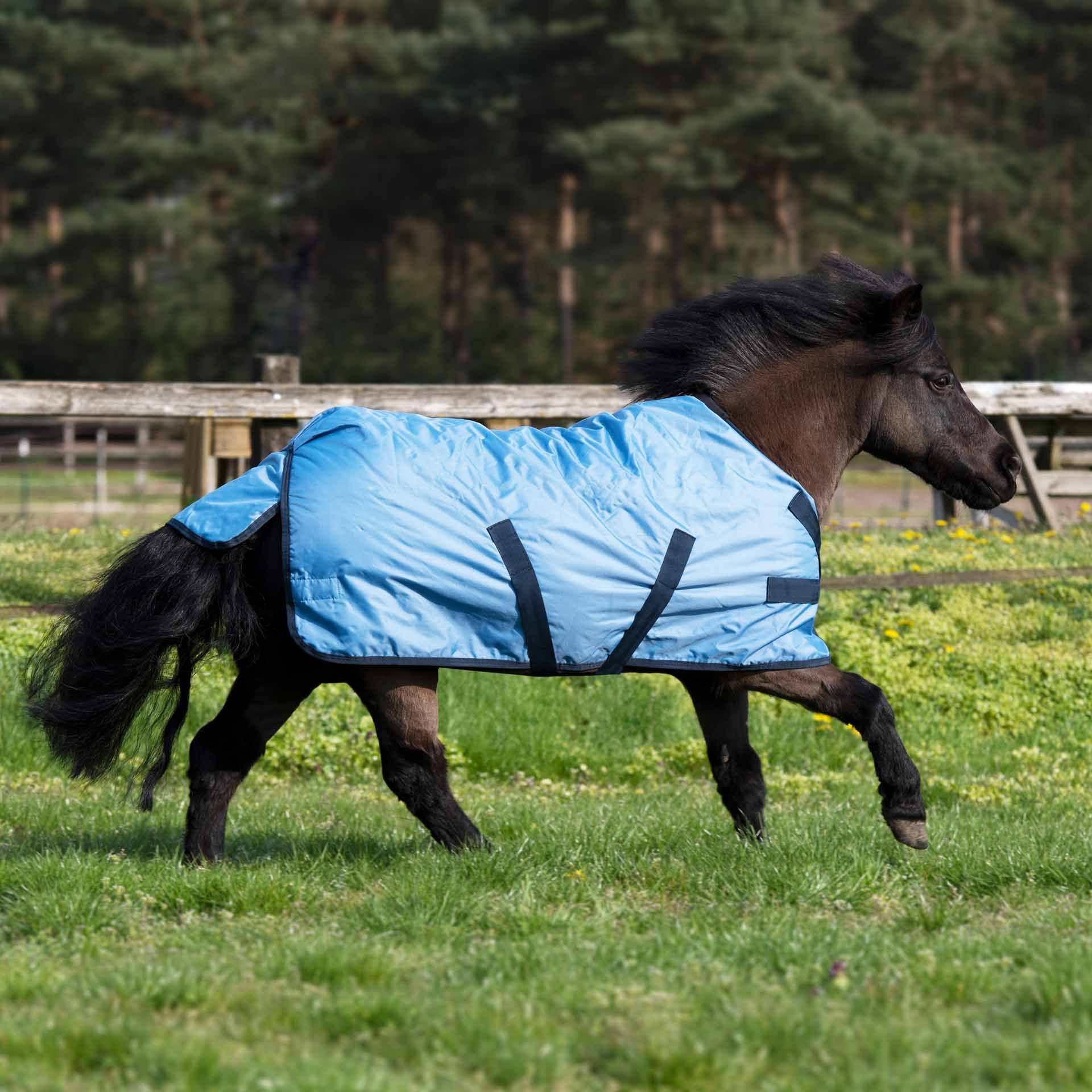 BUSSE WINDCHILLY MINI kültéri takaró, vízálló pónitakaró, használat közben, a legelőn