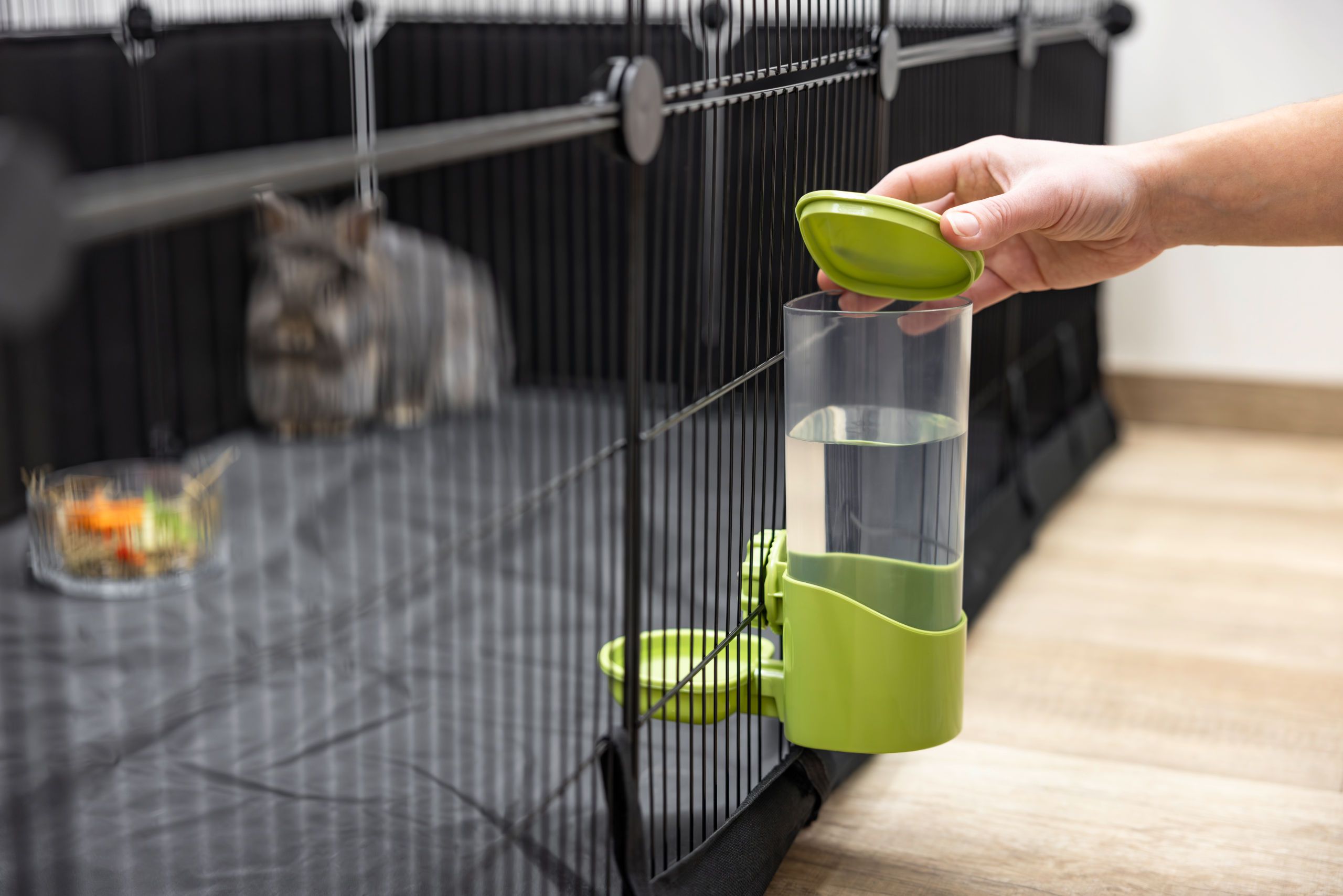 pet feeder, cage accessory, green water feeder, plastic container, spout cap