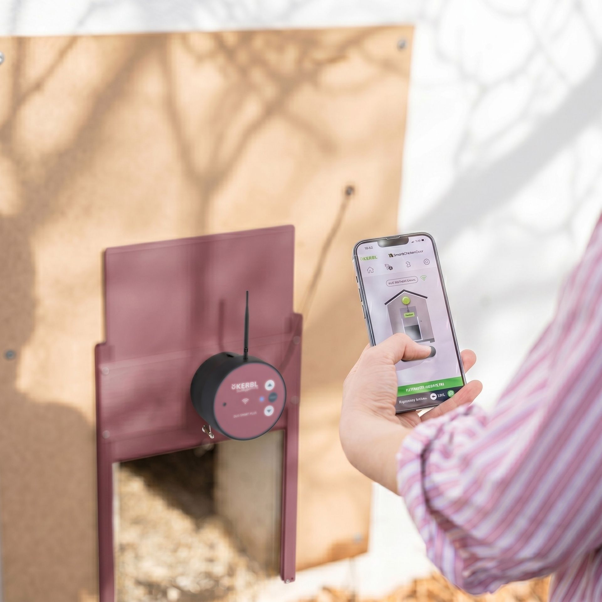 Tür, Elektrischer Schloss, Smart Lock, Holztür, Lila Farbe