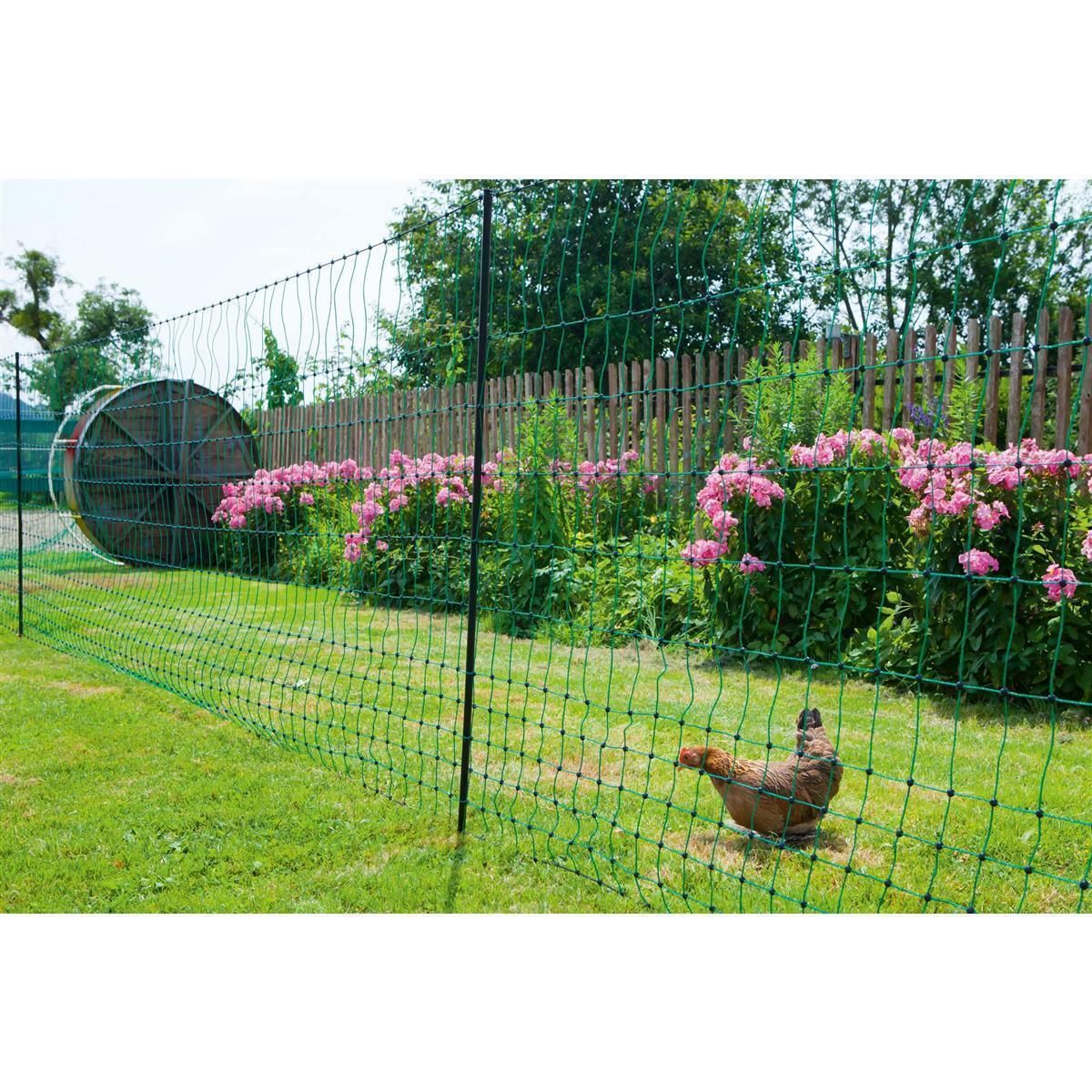 AKO Poultrynet Plasă Păsări Curte Electrificabilă Verde 112cm, în utilizare