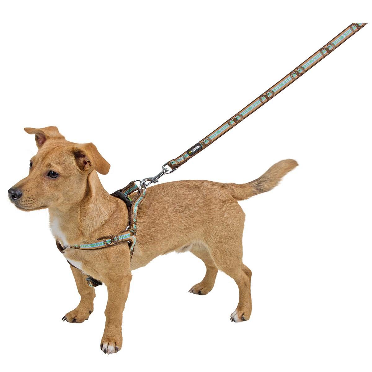 Kerbl Dog Harness Wild Life, Nylon with Clip Buckle, in use