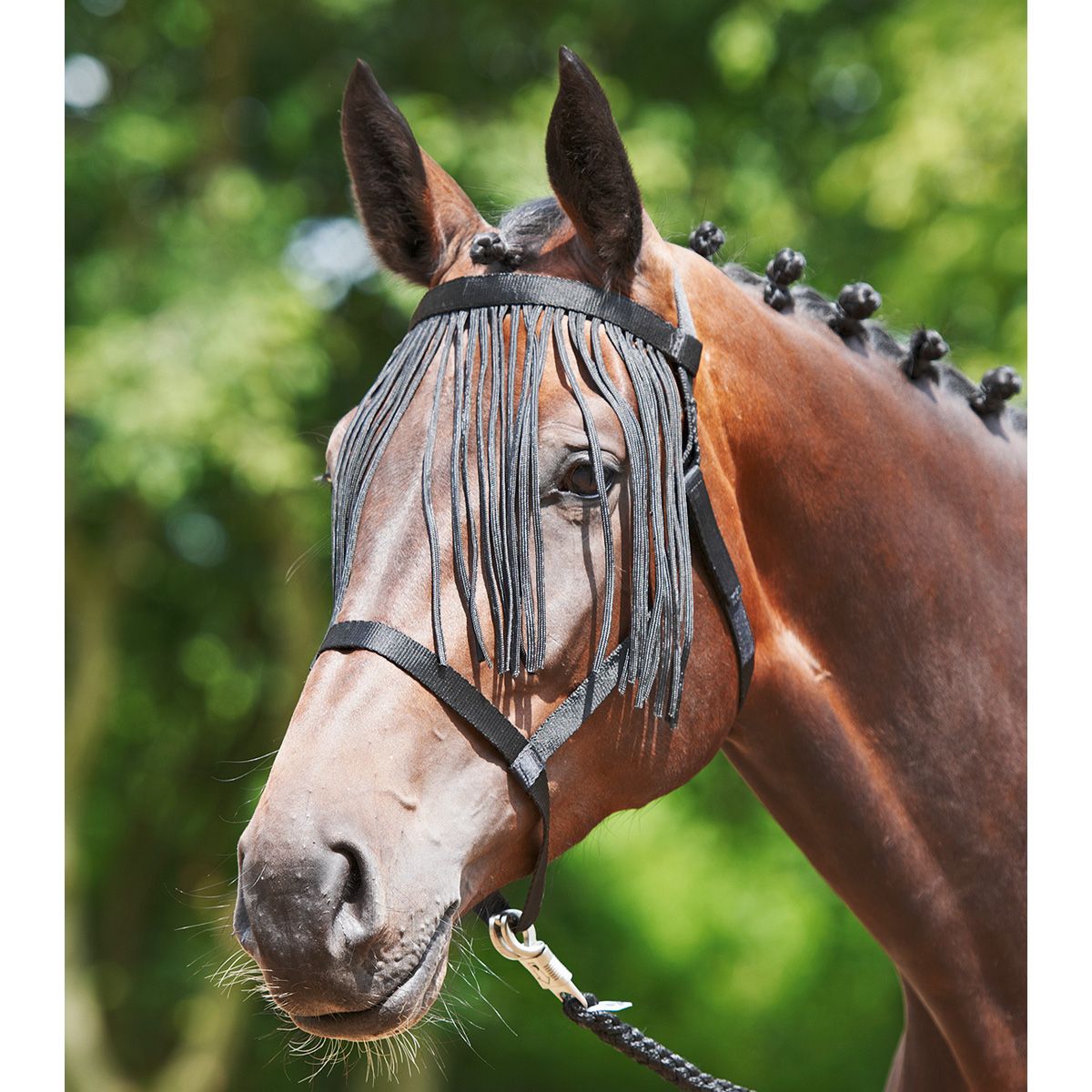 BUSSE Licol WEIDE-FRANSEN avec franges anti-mouches, sans métal, Poney, noir