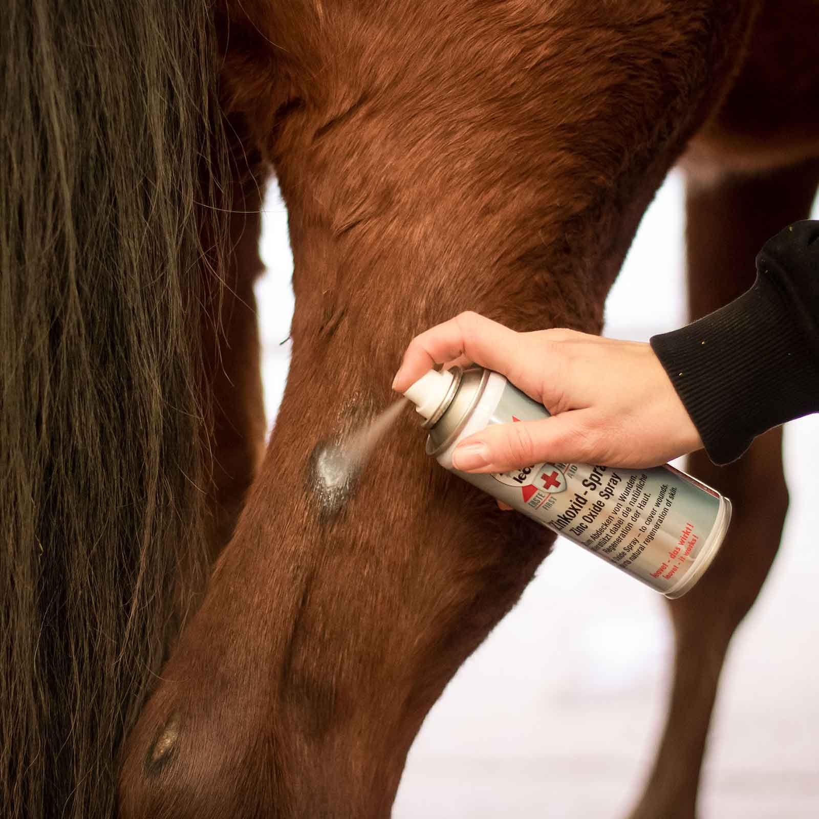 Leovet Spray à l'oxyde de zinc cheval, 200 ml soin des plaies, en utilisation, dans la main